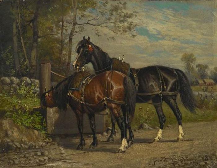 unknow artist Two Horses at a Wayside Trough Germany oil painting art